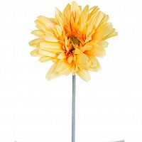 гербера жёлтая 79 см (24) в Нижневартовске