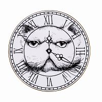 тарелка кот на циферблате в Нижневартовске