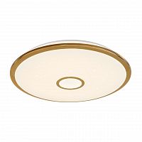 потолочный светодиодный светильник citilux старлайт cl70382r в Нижневартовске