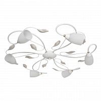 потолочная люстра mw-light верона 334012906 в Нижневартовске