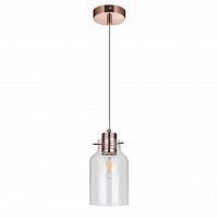 дизайнерский подвесной светильник spot light alessandro 1760113 в Нижневартовске