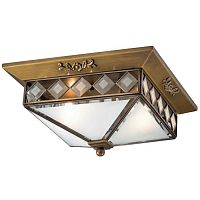 потолочный светильник odeon light morne 2544/2 в Нижневартовске