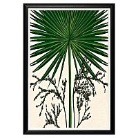 арт-постер «тропический веер» в Нижневартовске