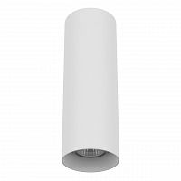 потолочный светильник lightstar rullo 216496 в Нижневартовске