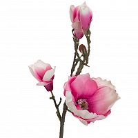 магнолия нежно-розовая 66 см (12) в Нижневартовске
