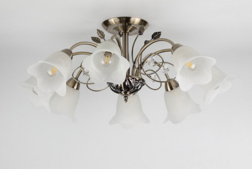 потолочная люстра rivoli giardino 2031-308 в Нижневартовске