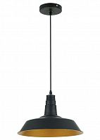 подвесной светильник odeon light kasl 3378/1 в Нижневартовске
