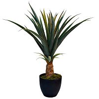 декоративное растение куст ананаса в горшке 73 см в Нижневартовске