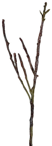 декор dry branches в Нижневартовске