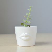 набор для выращивания eco мини-кашпо «губы» в Нижневартовске