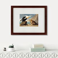 картина: king duck, 1827 в Нижневартовске