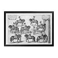 арт-постер «новейший метод конного искусства», гравюра 4 в Нижневартовске