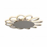 потолочный светодиодный светильник st luce camomilla sl828.502.12 в Нижневартовске