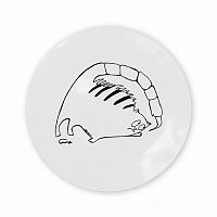 тарелка кот-скорпион в Нижневартовске