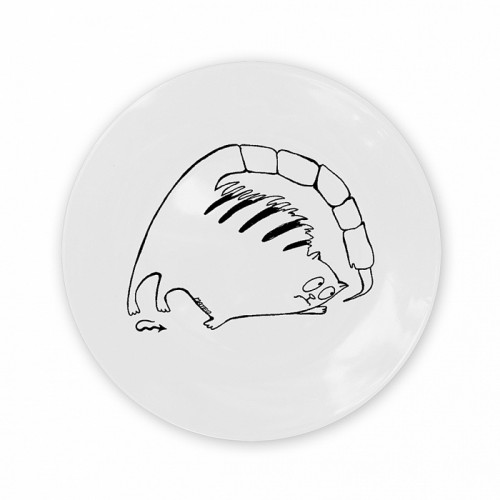 тарелка кот-скорпион в Нижневартовске