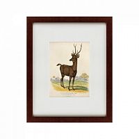 картина: a rusa deer, 1830 в Нижневартовске