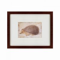 картина: a hedgehog, 1584 в Нижневартовске