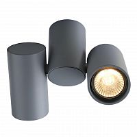 потолочный светильник divinare gavroche 1354/05 pl-2 в Нижневартовске