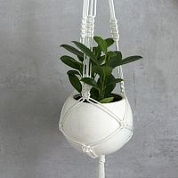 подвесное кашпо шар в Нижневартовске