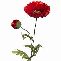 мак красный 72 см (24) в Нижневартовске