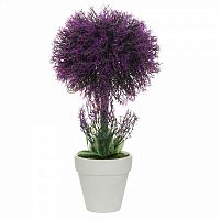 декоративное растение лаванда в горшочке 31 см в Нижневартовске