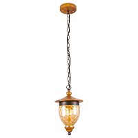 подвесной светильник arte lamp catena a6711sp-1br в Нижневартовске