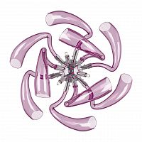 бра lightstar stella 892668 в Нижневартовске