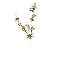 декоративное растение душистый горошек розовый 105 см в Нижневартовске