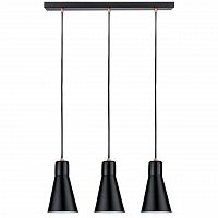 подвесной светильник paulmann ivar 79608 в Нижневартовске