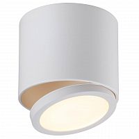 потолочный светодиодный светильник omnilux canicattì oml-20501-01 в Нижневартовске