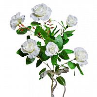 роза белая 71 см (12) в Нижневартовске