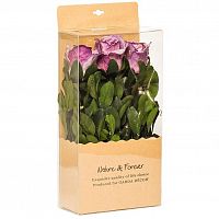 цветочная композиция розы фиолетовые 18х9х28 см в Нижневартовске