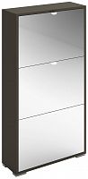 шкаф для обуви reggy 3 зеркальный в Нижневартовске