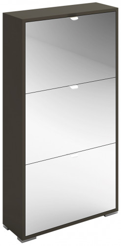 шкаф для обуви reggy 3 зеркальный в Нижневартовске