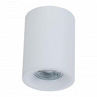 потолочный светильник maytoni alfa c012cl-01w в Нижневартовске