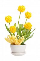 декоративный цветок parsel в Нижневартовске