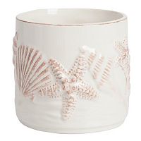 декоративная банка starfish в Нижневартовске