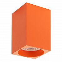 потолочный светильник denkirs dk2009-or в Нижневартовске