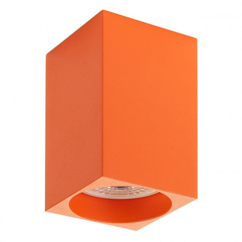 потолочный светильник denkirs dk2009-or в Нижневартовске