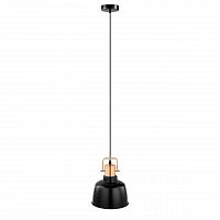 подвесной светильник eglo bodmin 49692 в Нижневартовске