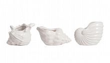 набор декоративных ракушек monpelier в Нижневартовске