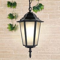 уличный подвесной светильник elektrostandard 1004h черный 4690389085710 в Нижневартовске