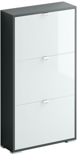 шкаф для обуви reggy 3 в Нижневартовске