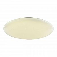 потолочный светодиодный светильник f-promo luna 2319-10c в Нижневартовске