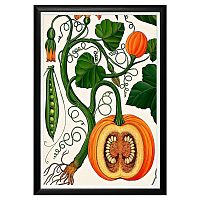 арт-постер тыковка и горошек в Нижневартовске