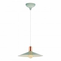 подвесной светильник eglo bridport-p 49033 в Нижневартовске