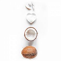 постер композиция с кокосом 50х70см в Нижневартовске