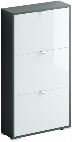 шкаф для обуви reggy 3 белый глянец в Нижневартовске