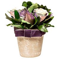 цветочная композиция с розами в горшке 17х21 в Нижневартовске