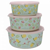 набор контейнеров limona pale blue в Нижневартовске